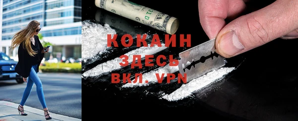 ECSTASY Бородино