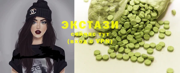 ECSTASY Бородино