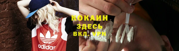 ECSTASY Бородино