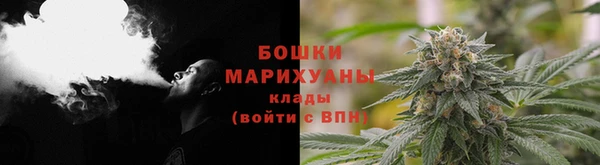 ECSTASY Бородино