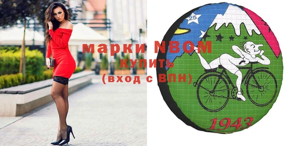 ECSTASY Бородино