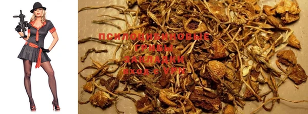 MDMA Premium VHQ Бронницы