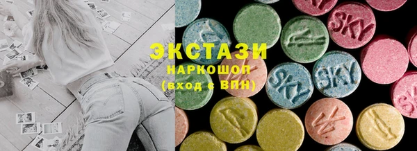 ECSTASY Бородино