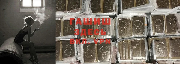 ECSTASY Бородино